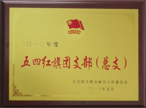 我司榮獲高新區“五四紅旗團支部”榮譽稱號